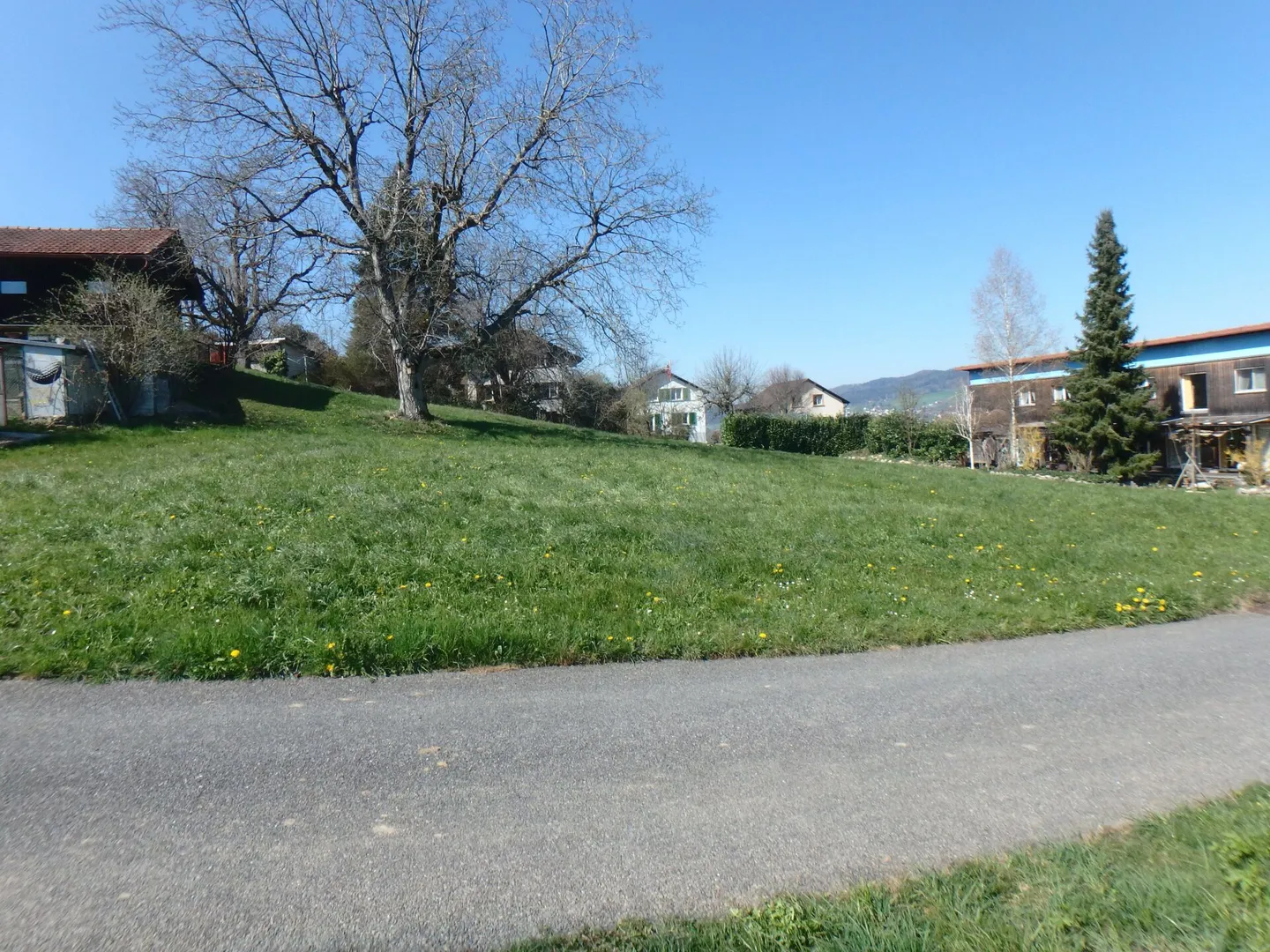 Plot with foresight - Photo 2 of 8