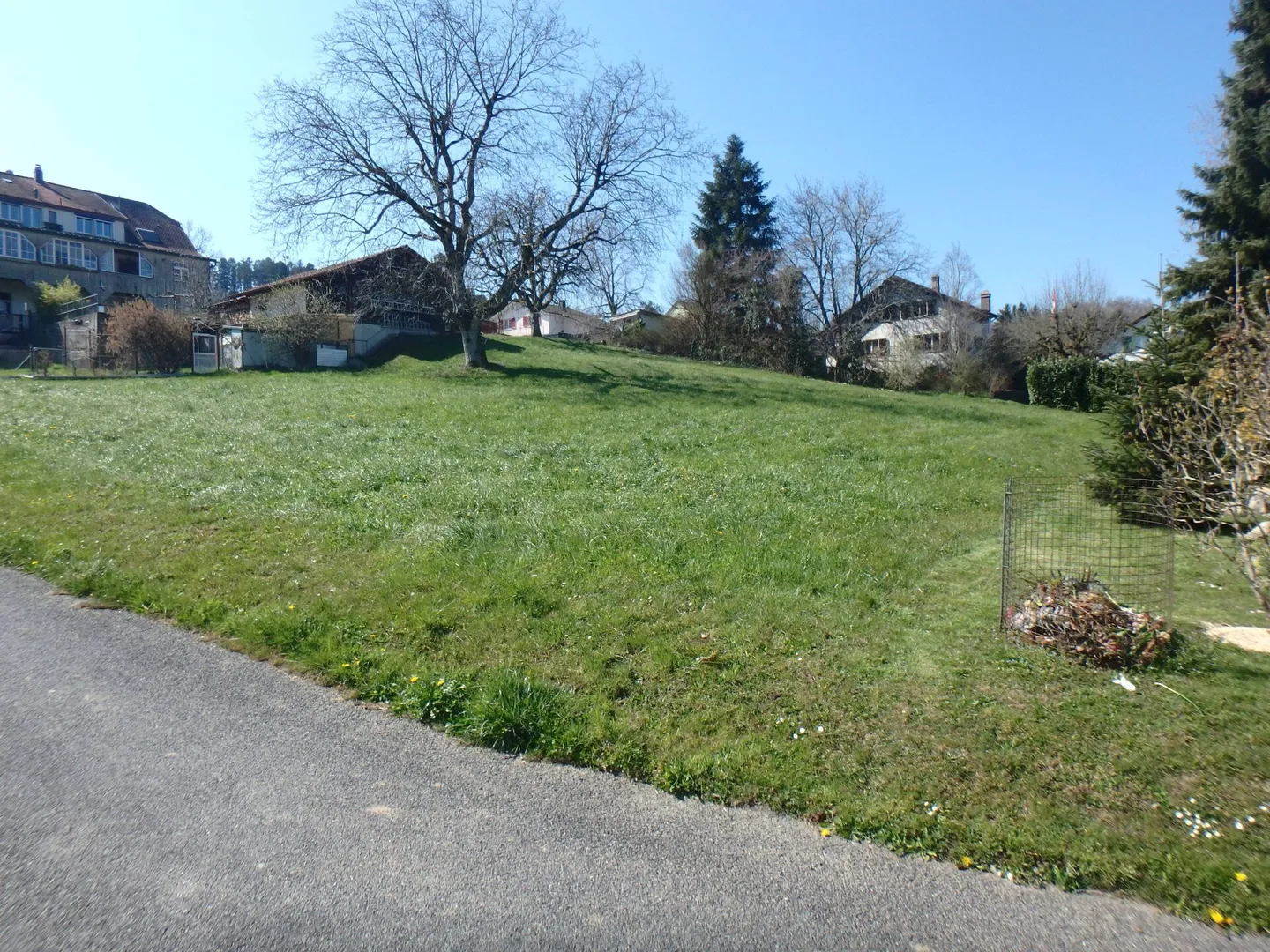 Plot with foresight - Photo 4 of 8