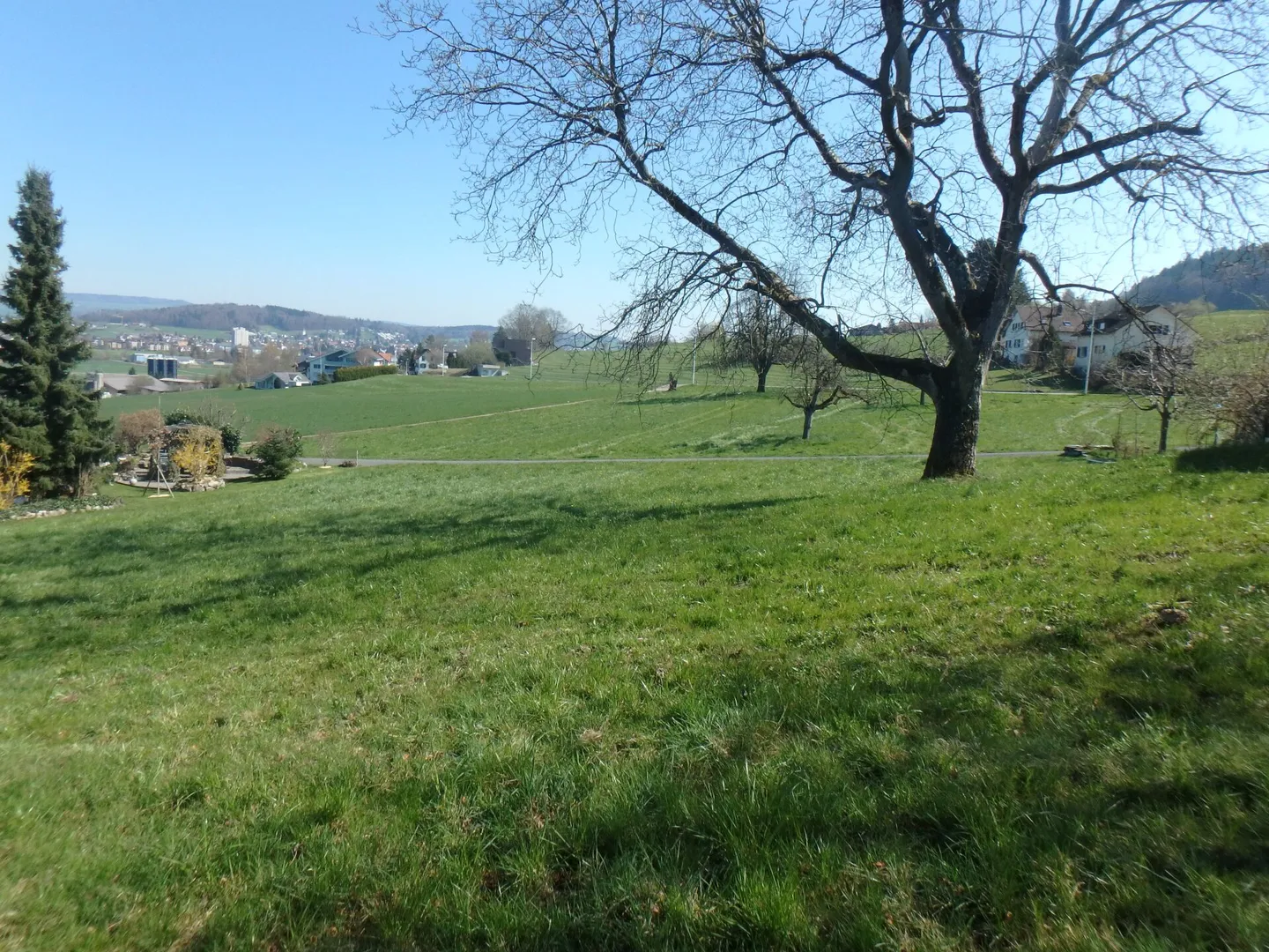 Plot with foresight - Photo 5 of 8