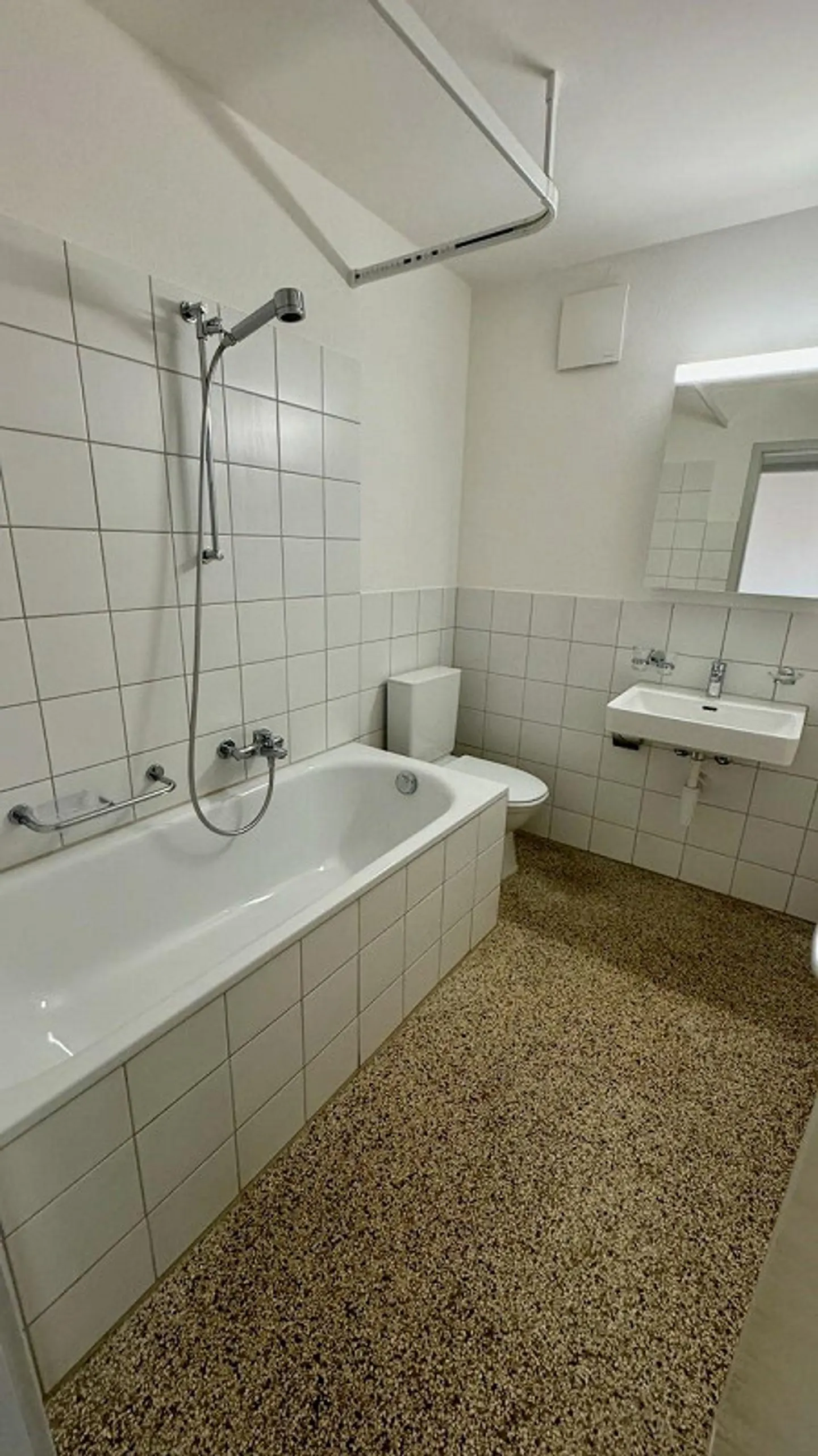 Renovated and spacious 6.5-room apartment in the Linden district - Photo 2 of 13