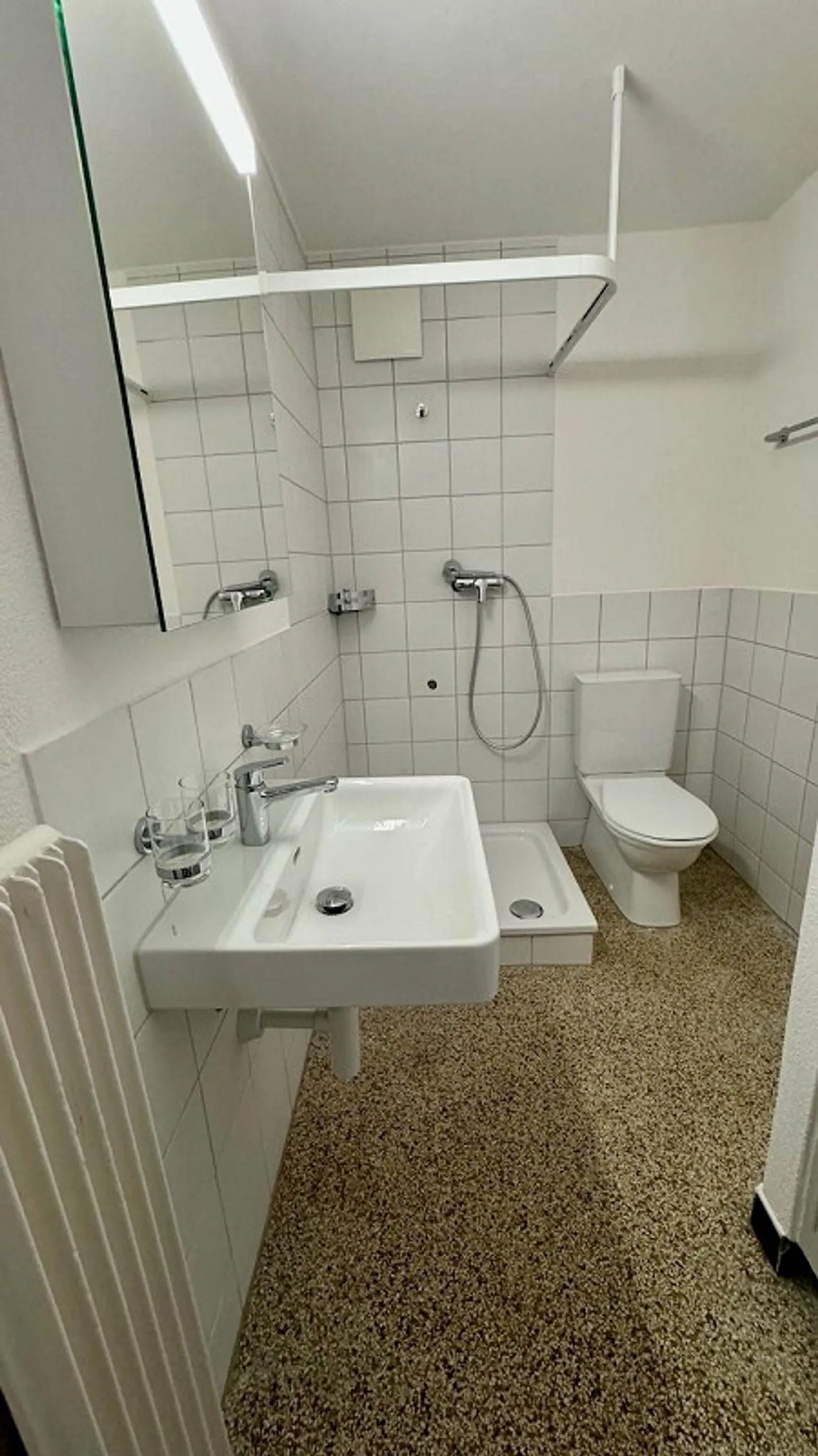 Renovated and spacious 6.5-room apartment in the Linden district - Photo 6 of 13