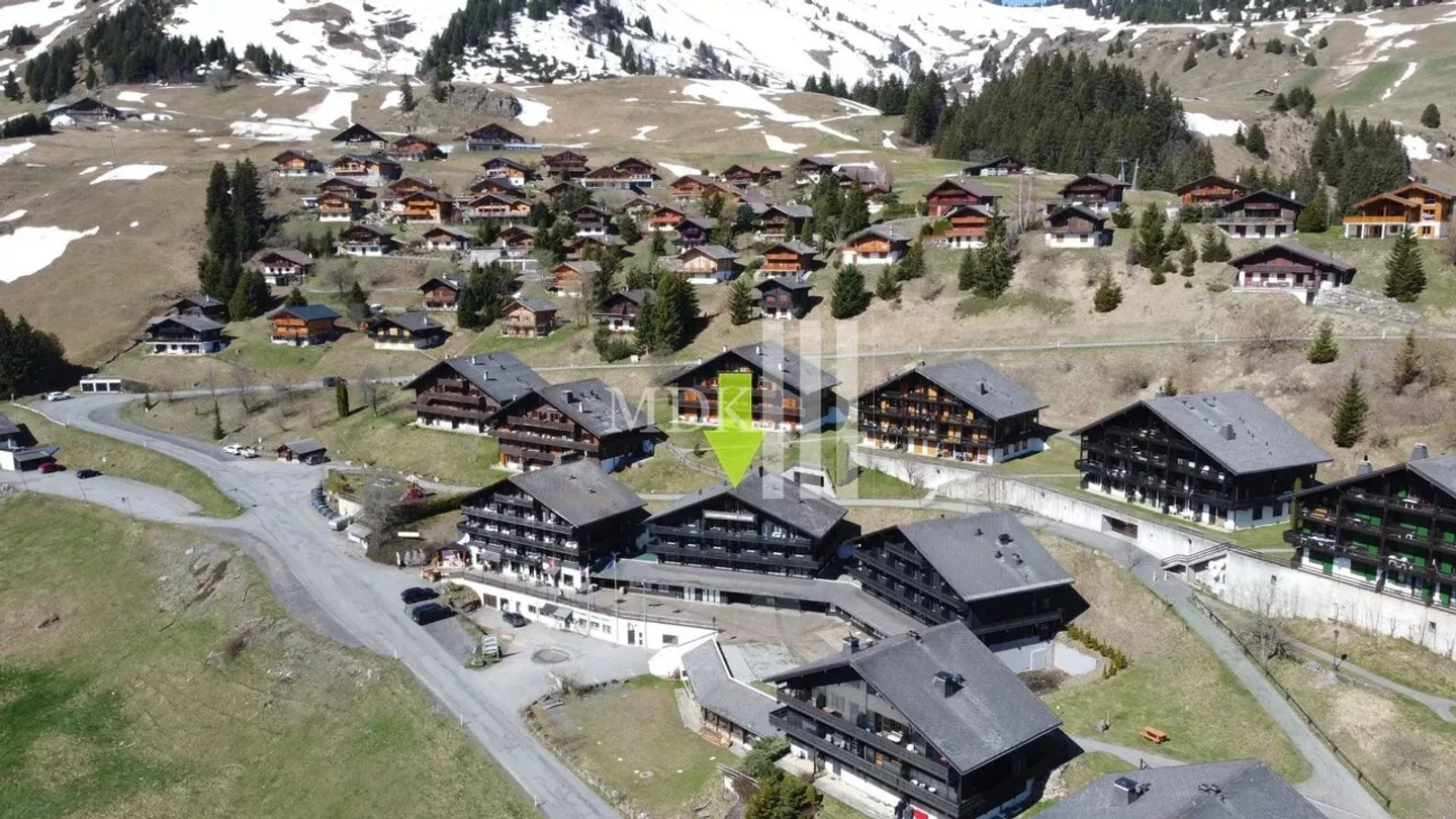 Magnifico appartamento ristrutturato con vista sulle Dents-du-Midi - Foto 13 di 13