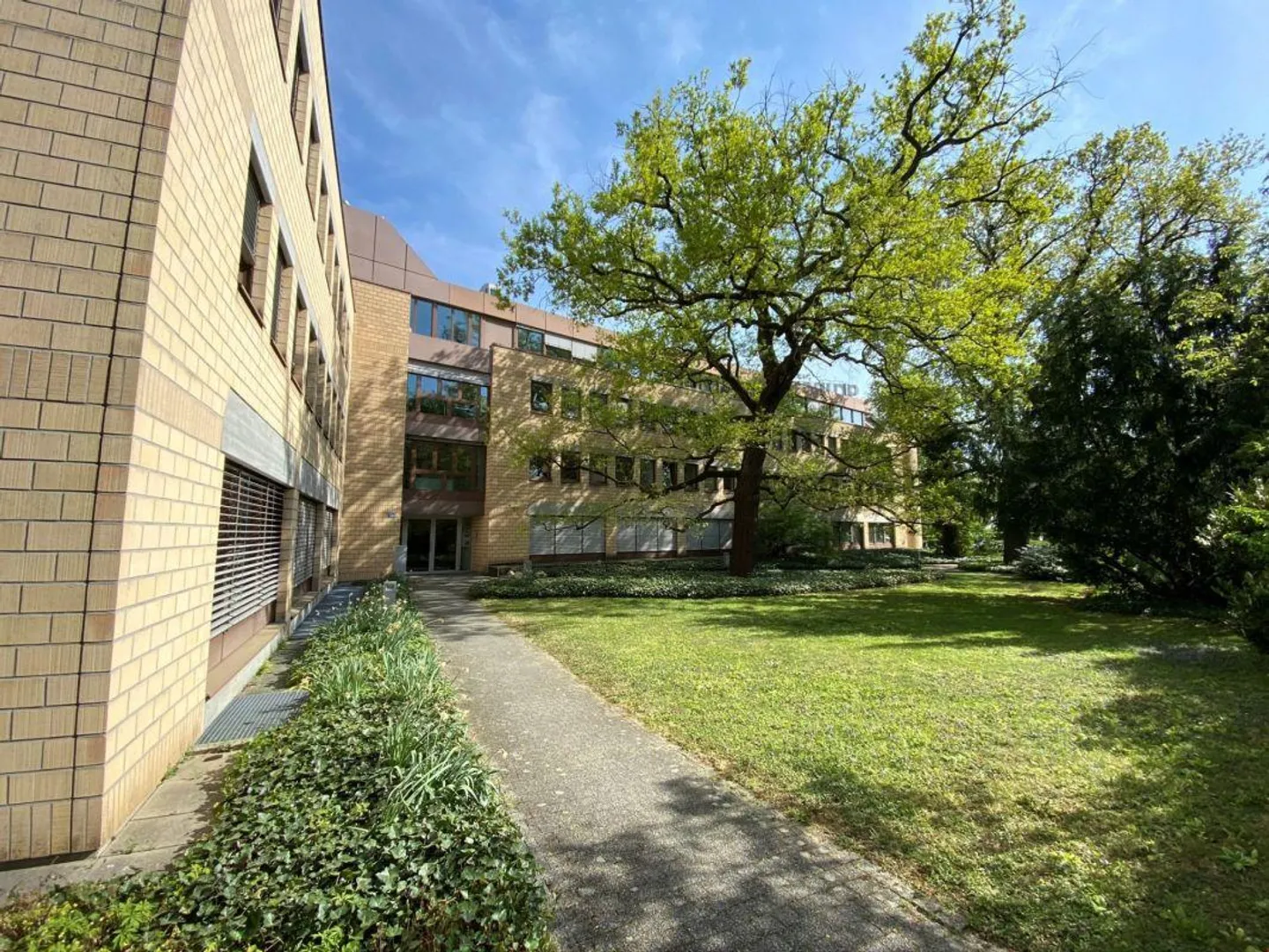 Bureaux individuels attractifs dans un emplacement calme dans le quartier de Gellert - Photo 1 sur 9