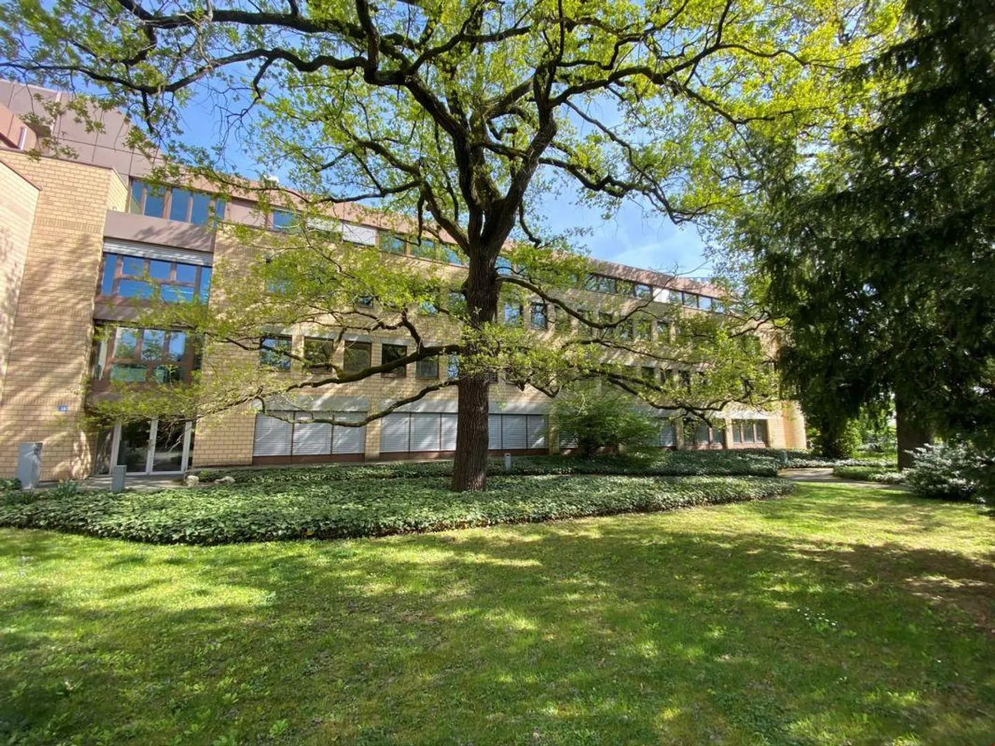 Bureaux individuels attractifs dans un emplacement calme dans le quartier de Gellert - Photo 3 sur 9