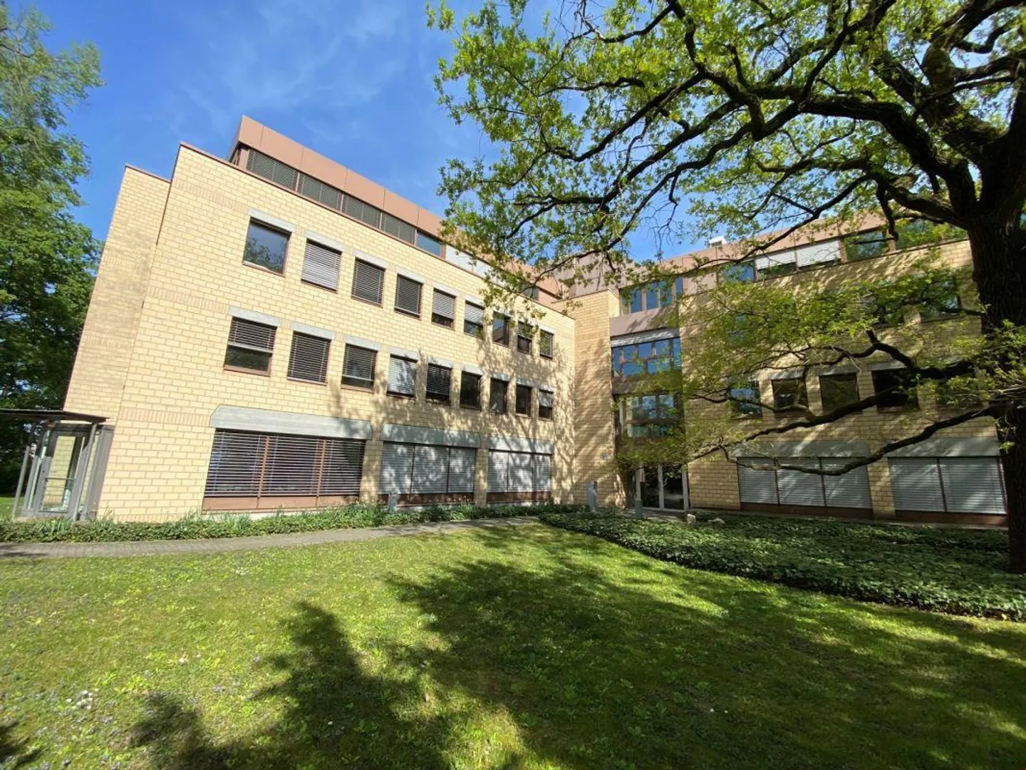 Bureaux individuels attractifs dans un emplacement calme dans le quartier de Gellert - Photo 4 sur 9