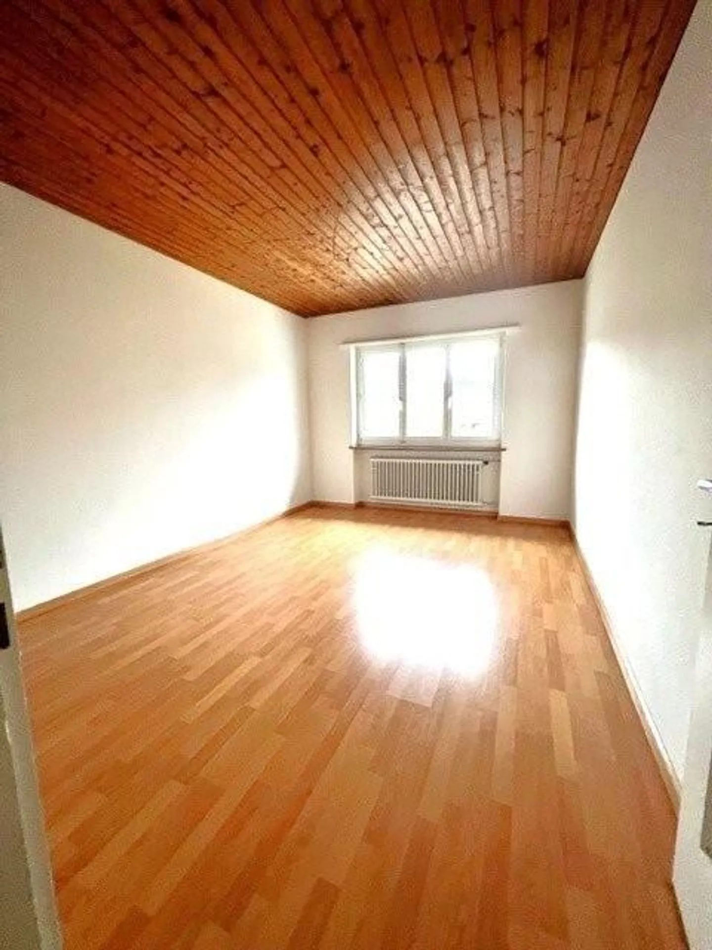 Bijou cerca inquilino - Foto 3 di 7