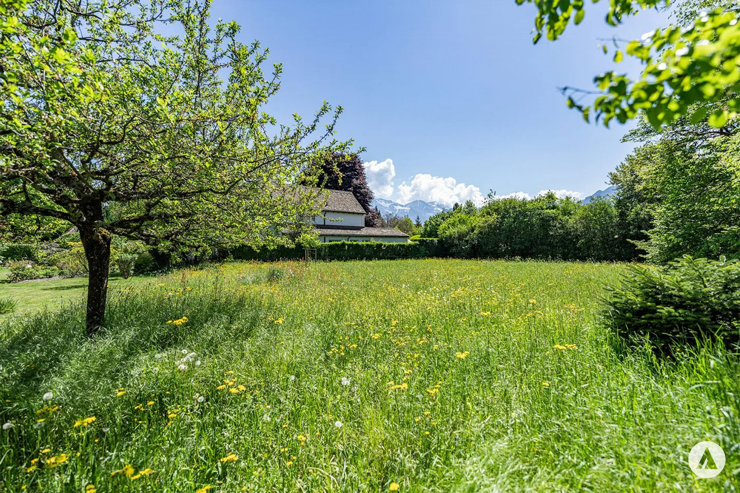 Attraktives Grundstück am Thunersee - Foto 3 von 11