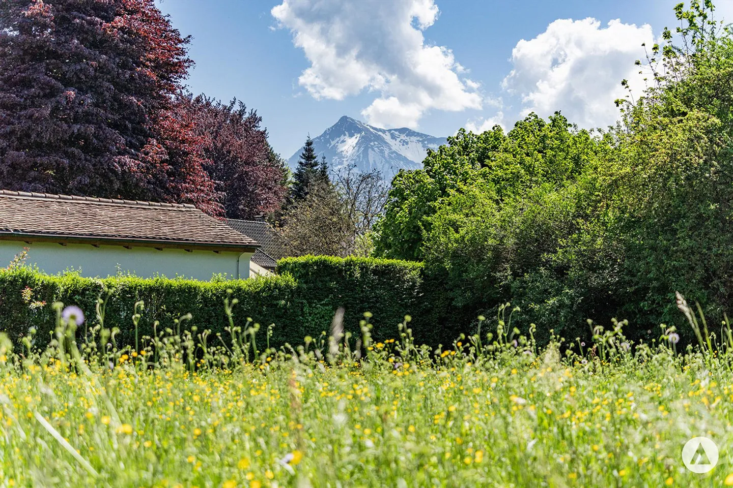 Attraktives Grundstück am Thunersee - Foto 4 von 11