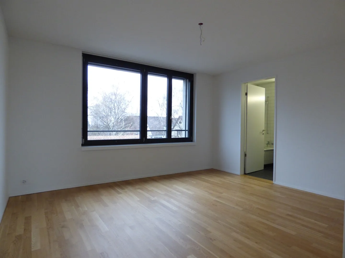 Beautiful living in Wollishofen - Quiet - Modern - Central! - Photo 4 of 7