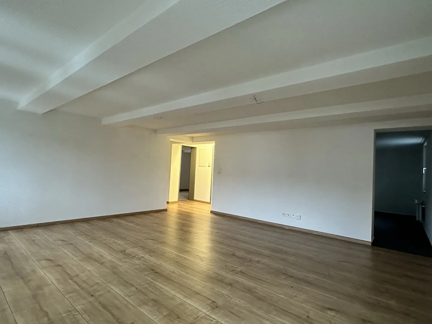Beautiful 3.5 room apartment with balcony 1st floor - Photo 3 of 13