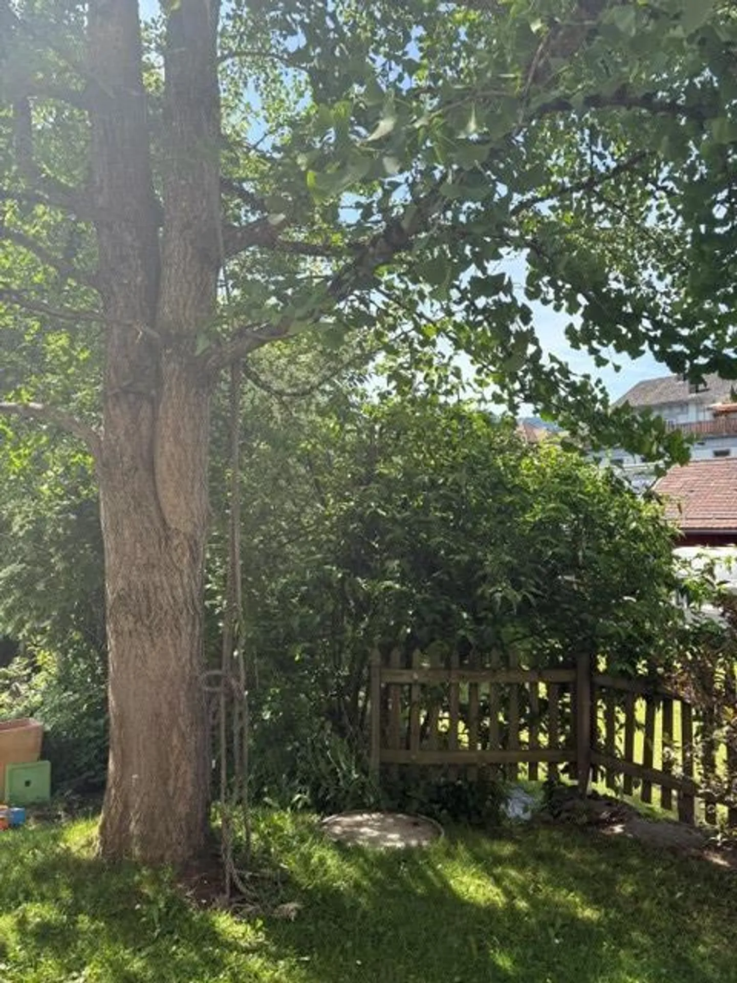 Geräumige Erdgeschosswohnung - Foto 7 von 18