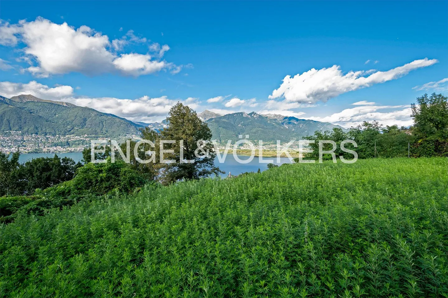 Idyllic plot with a view of Lake Maggiore (1) - Photo 2 of 4