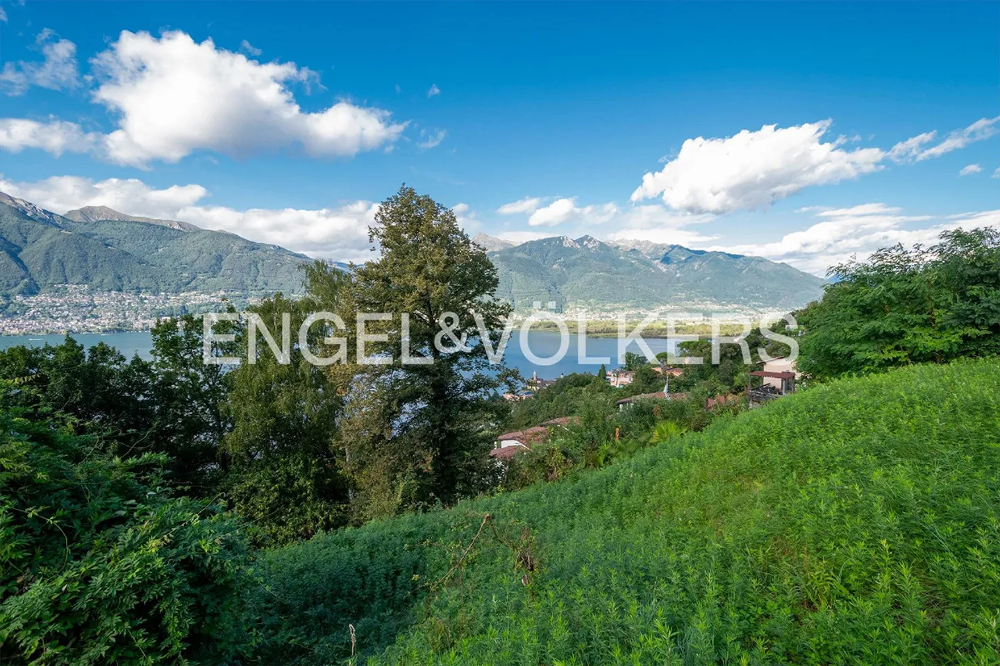 Idyllic plot with a view of Lake Maggiore (1) - Photo 3 of 4