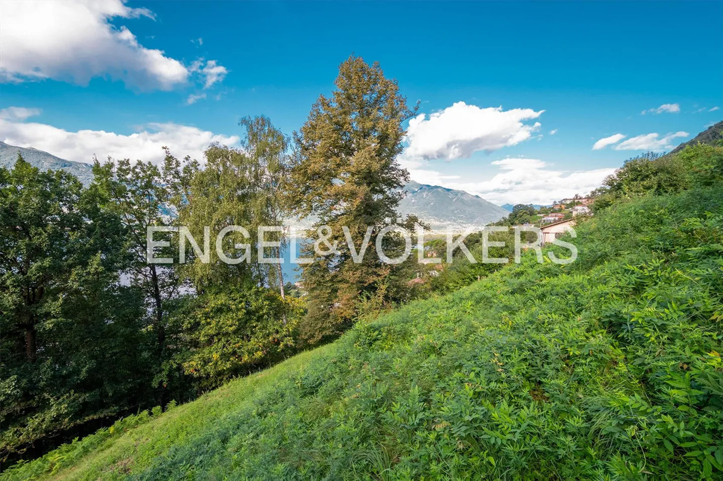 Idyllic plot with a view of Lake Maggiore (1) - Photo 4 of 4