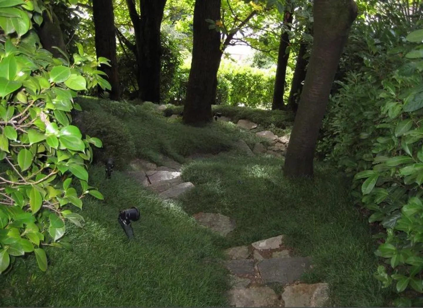 Panoramavilla in Aldesago | Einzigartiges innovatives Projekt - Foto 14 von 15