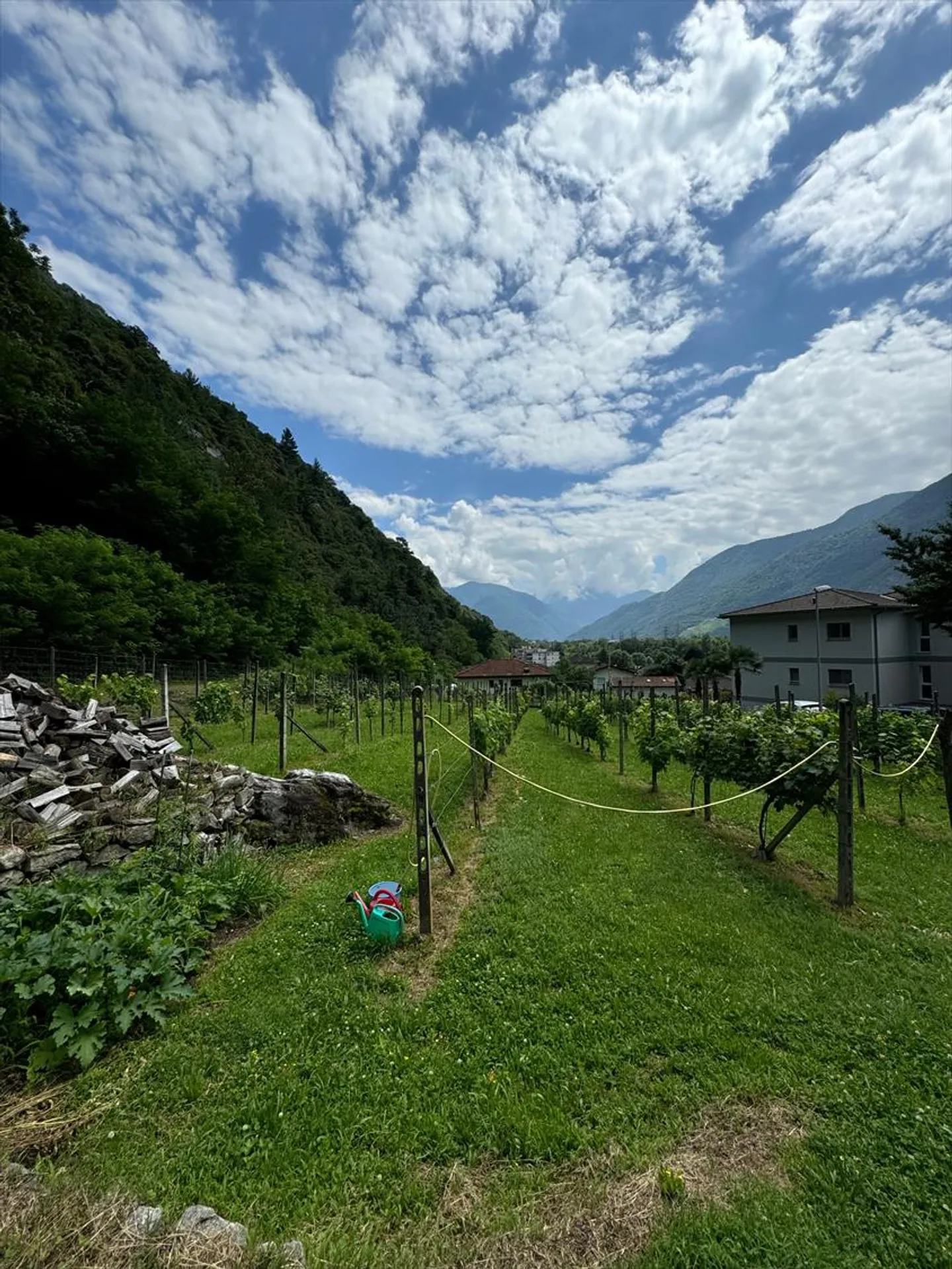 Terreno edificabile con superficie piana a Cresciano, 6705 Riviera, in vendita - Foto 2 di 5