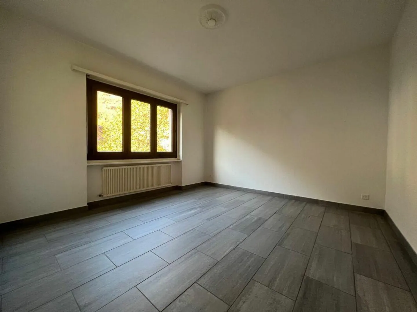Appartamento 4.5 stanze - Lumino - Foto 6 di 10