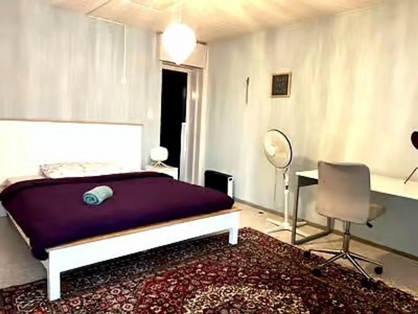Charming 4.5-Room Apartment - Photo 11 of 13
