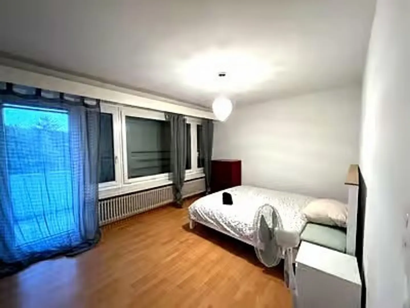 Charming 4.5-Room Apartment - Photo 8 of 13