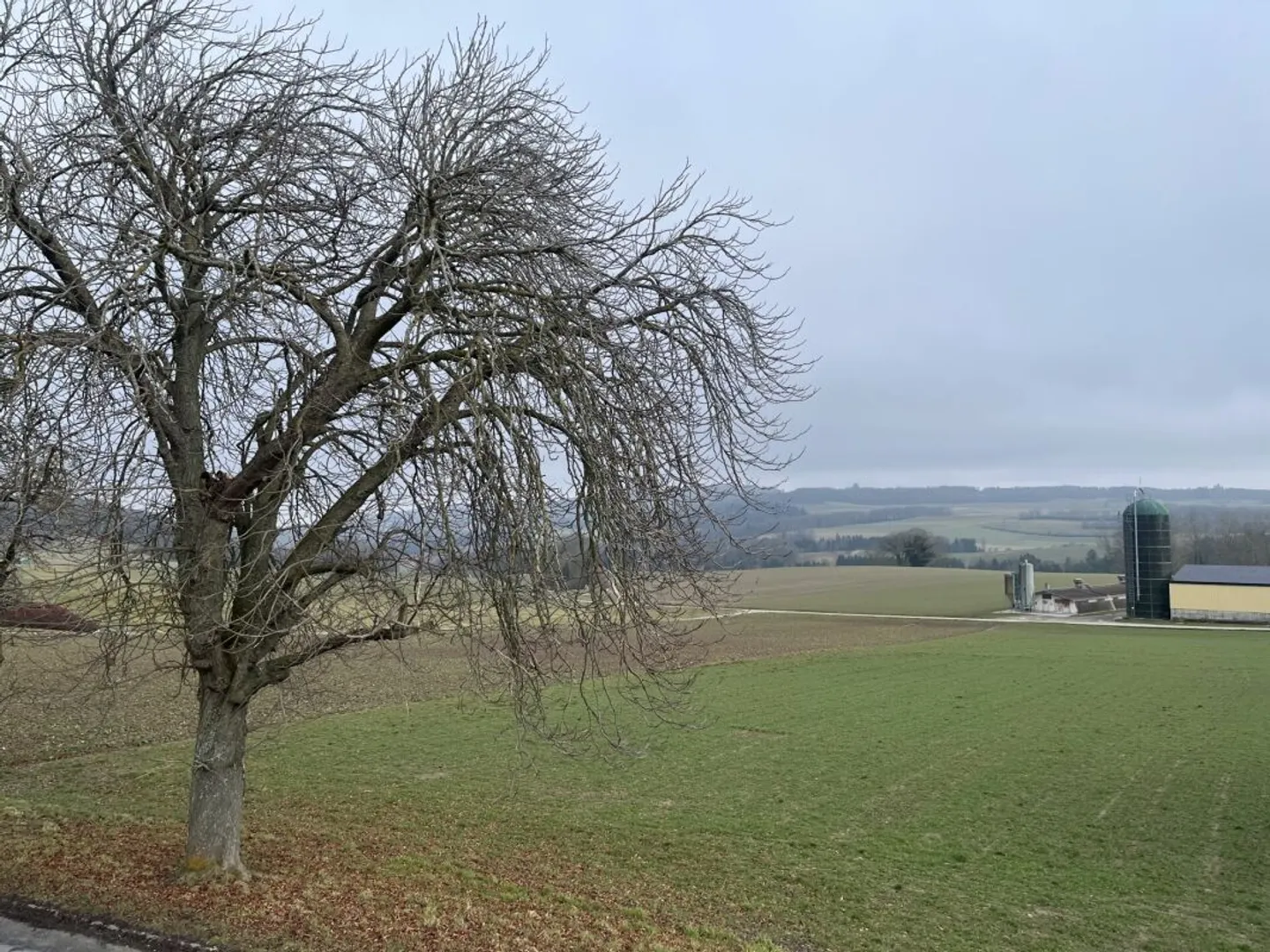 MAGNIFICA CASA INDIPENDENTE - Foto 3 di 13