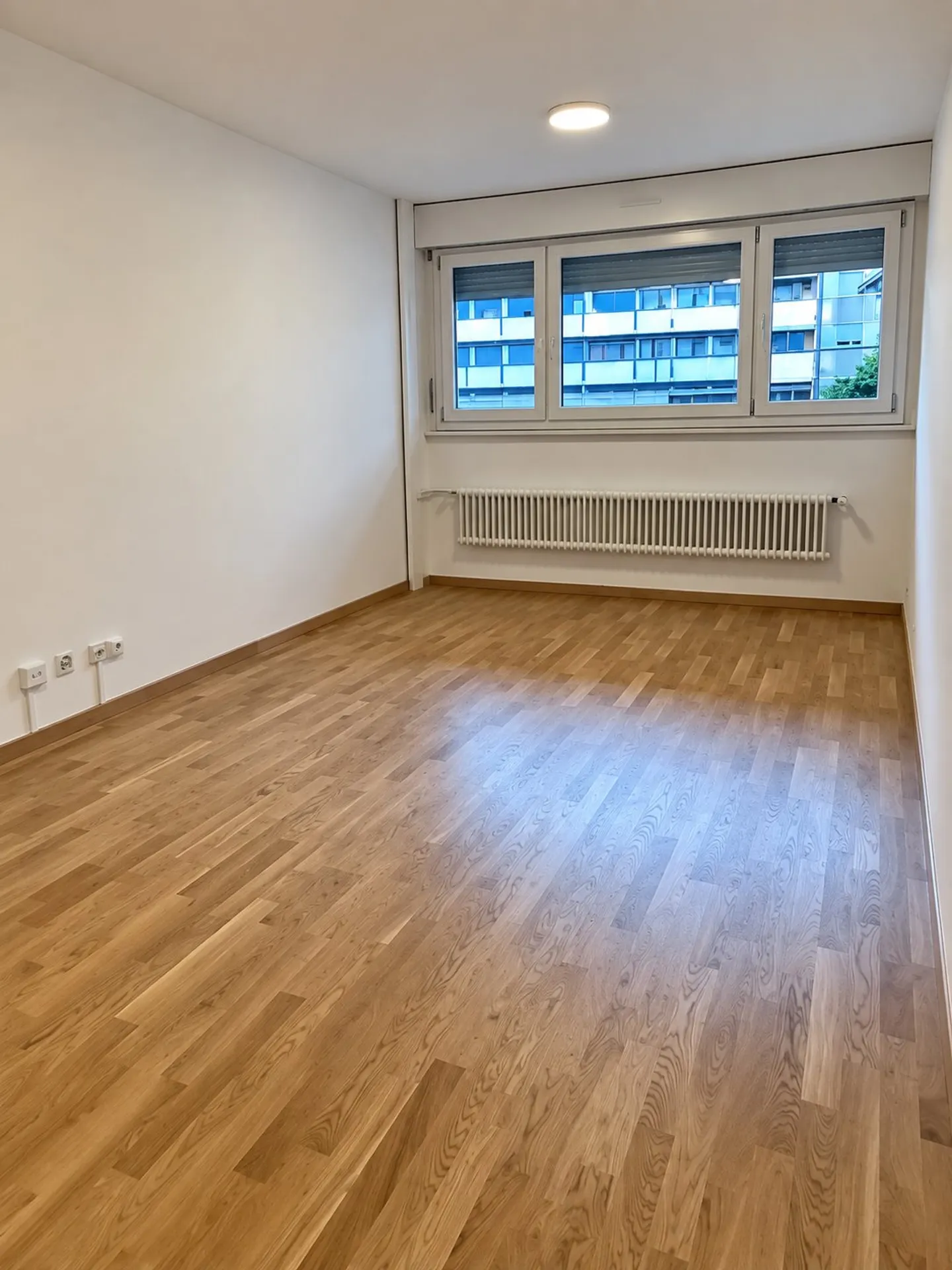 Charming 3-Room Apartment in Geneva - Photo 1 of 5