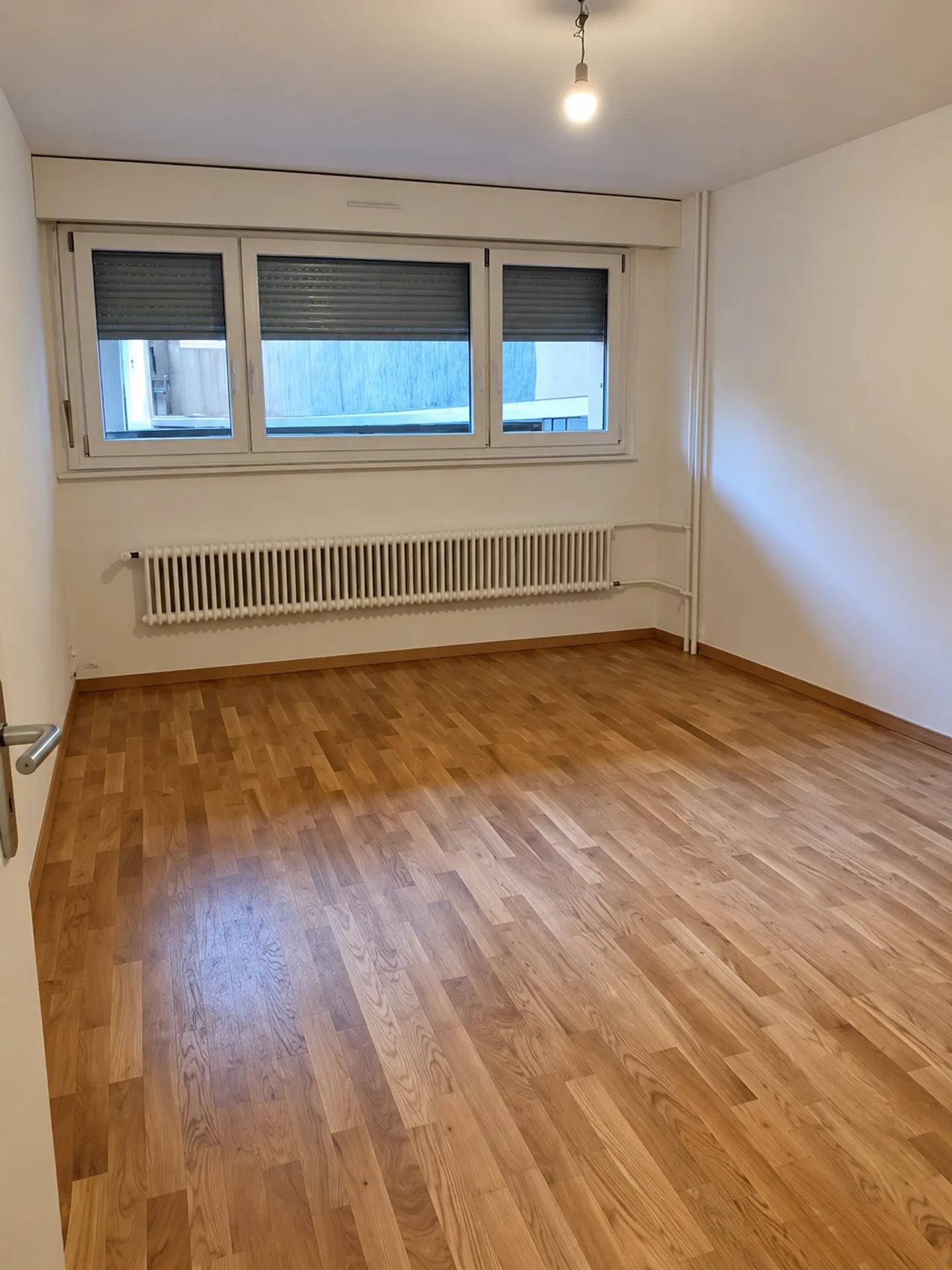 Charming 3-Room Apartment in Geneva - Photo 3 of 5