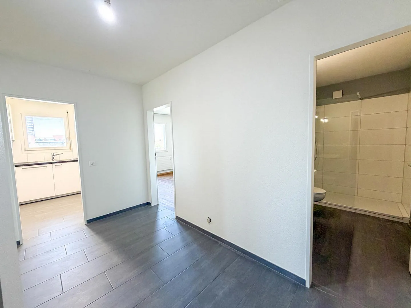 Appartement penthouse moderne de 2 pièces avec grande terrasse près de la foire de Bâle - Photo 11 sur 12