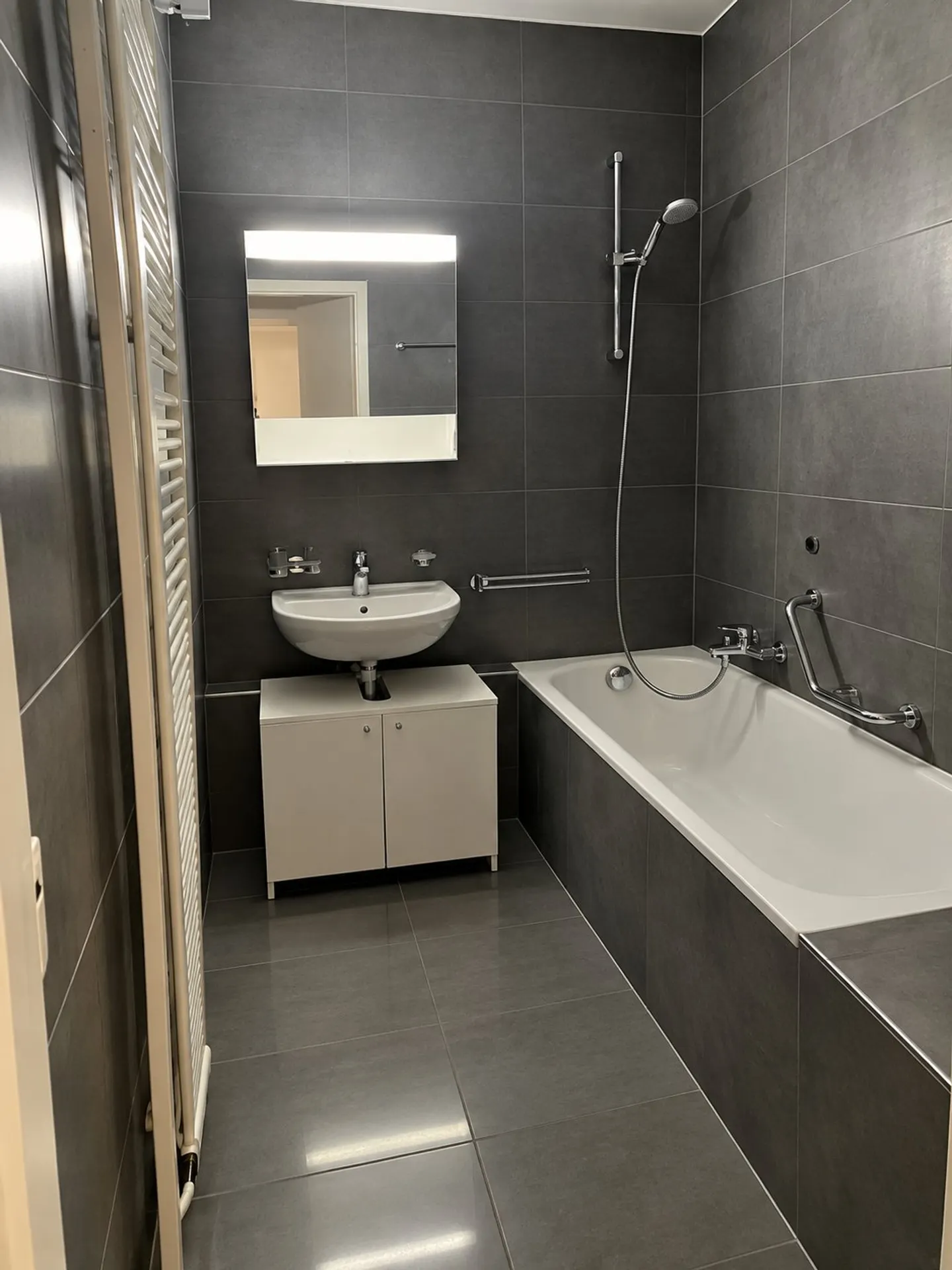 Charming 3-Room Apartment in Geneva - Photo 4 of 5