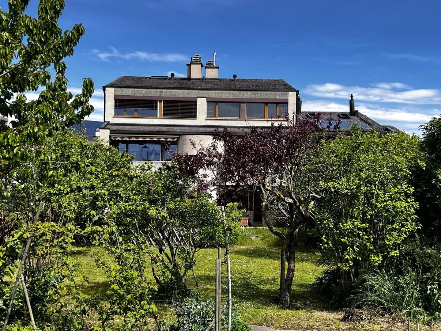 Lassen Sie sich überraschen - Foto 8 von 14