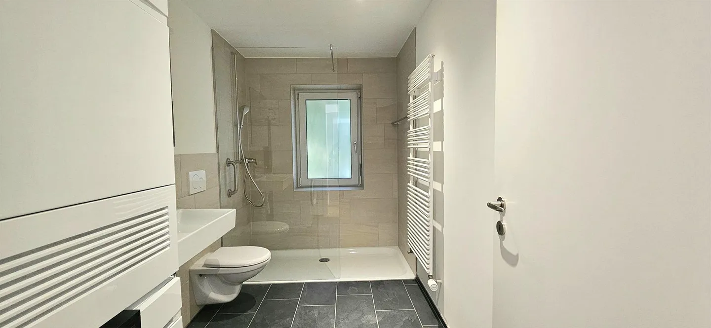 Vista sul lago del giardino - Appartamento di 2,5 stanze in posizione privilegiata a Zurigo - Foto 8 di 10