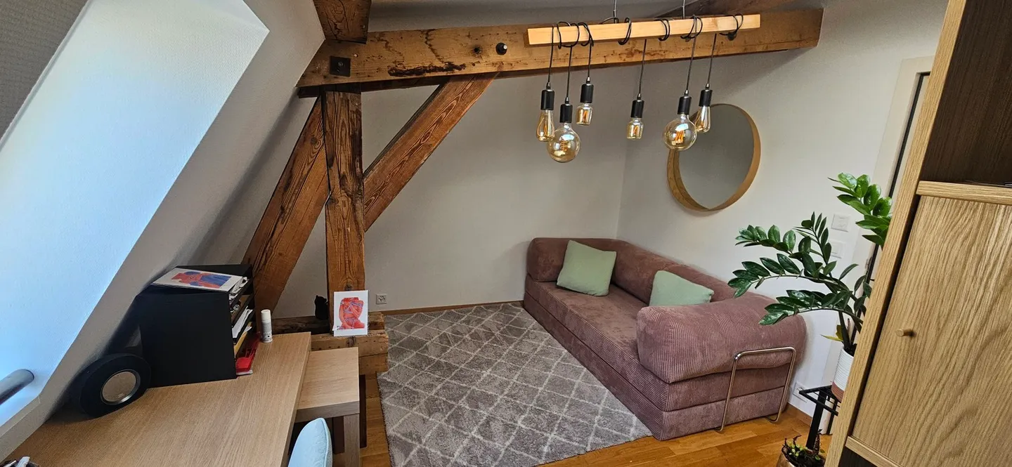 DACHGESCHOSS-WOHNUNG 3½ ZIMMER IN LAUSANNE - STADTZENTRUM, MÖBLIERT, DAUER - Foto 6 von 10
