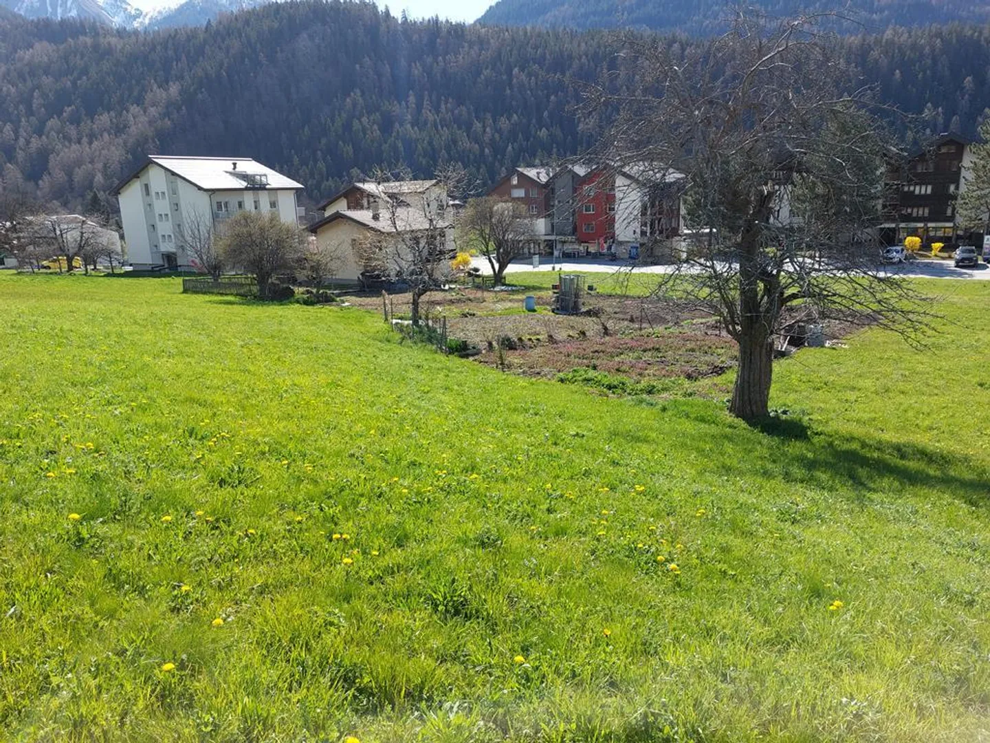 Terrain constructible attrayant près de l'Aletsch Arena à Lax - Photo 9 sur 12