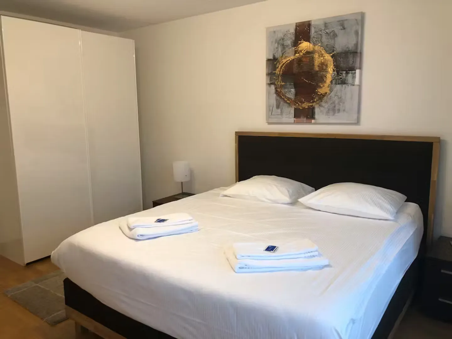 Charming Apartment in Zürich - Photo 3 of 10