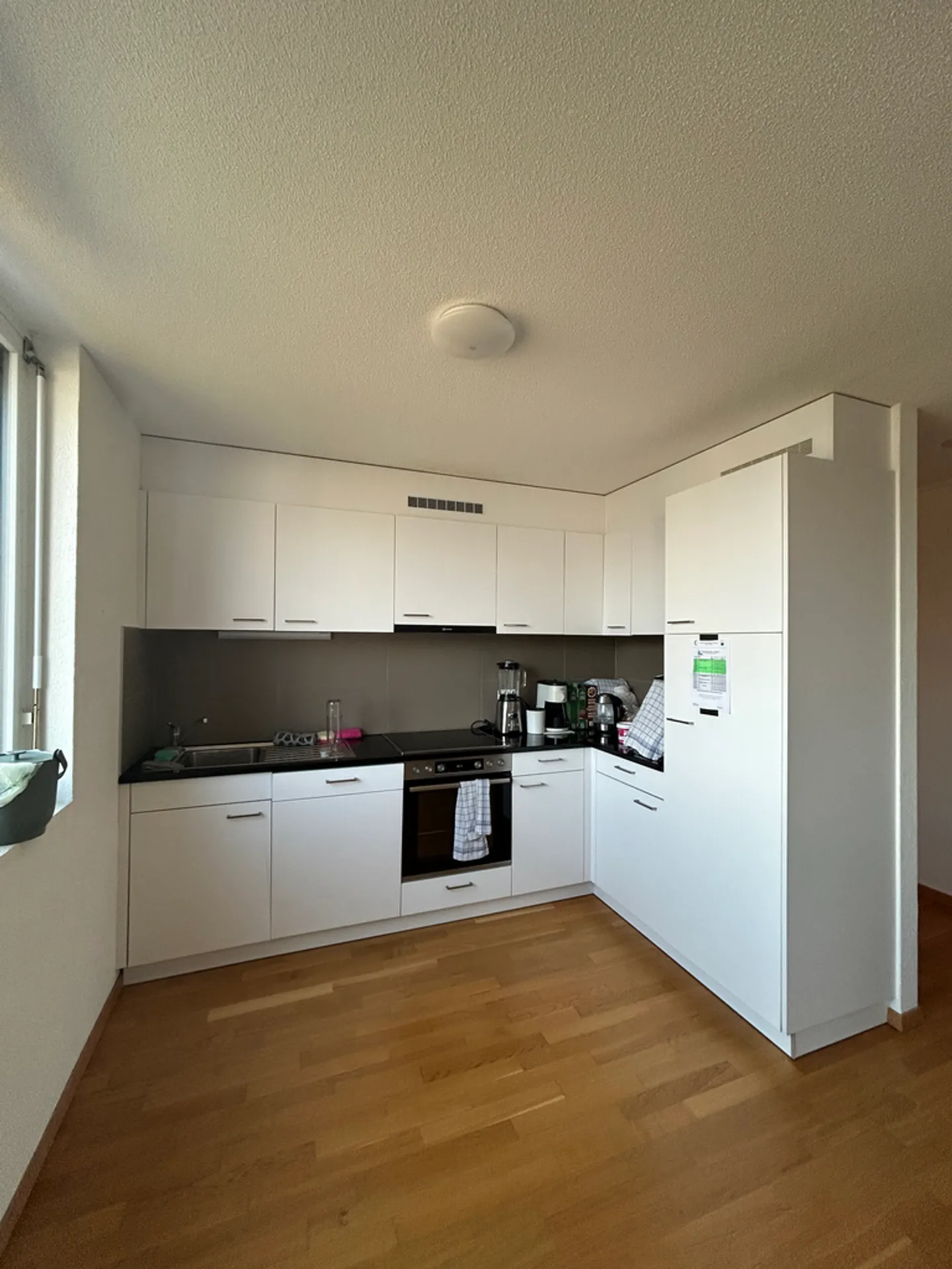 Appartamento 2.5 locali - Foto 3 di 6