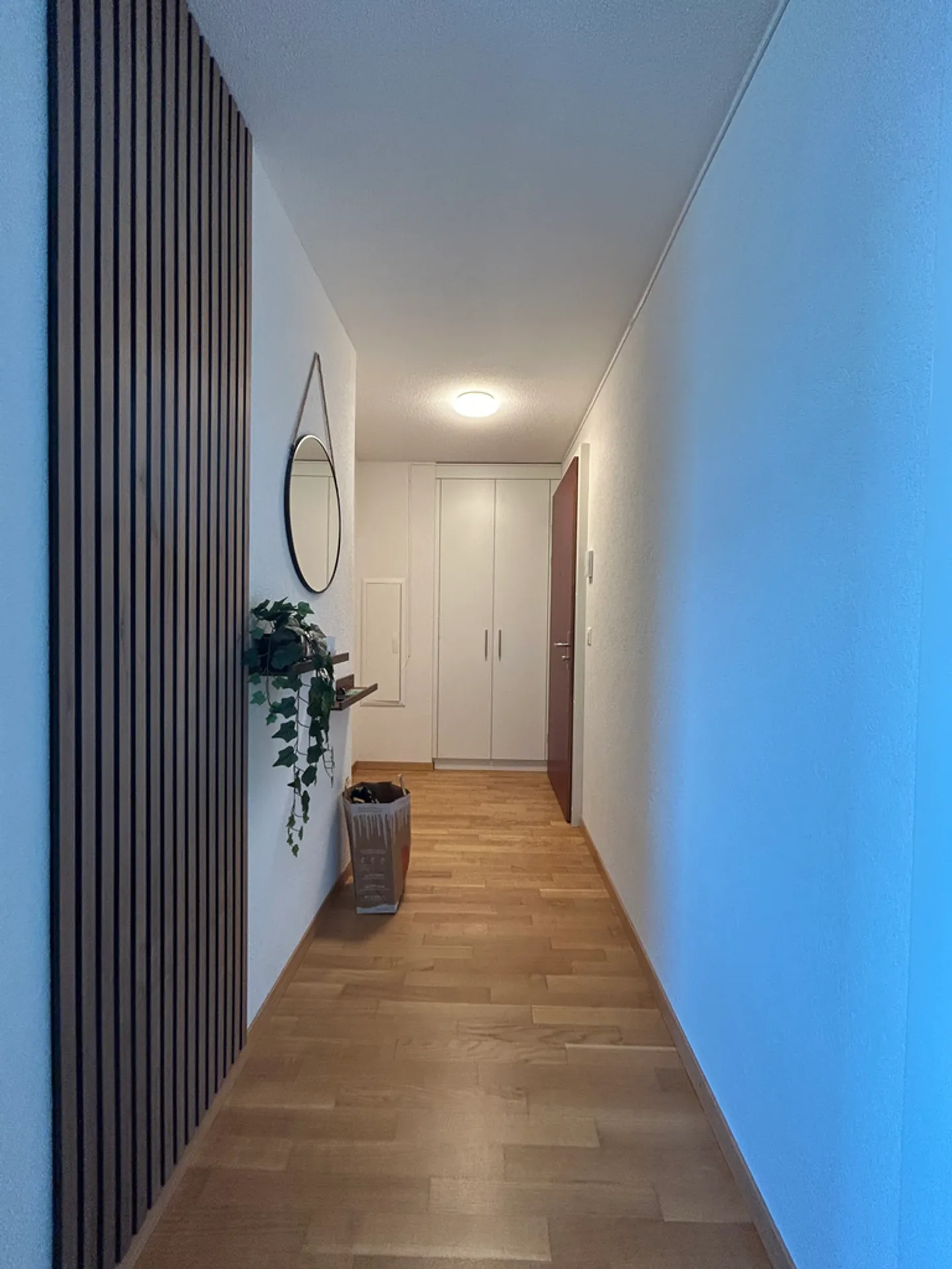 Appartamento 2.5 locali - Foto 1 di 6