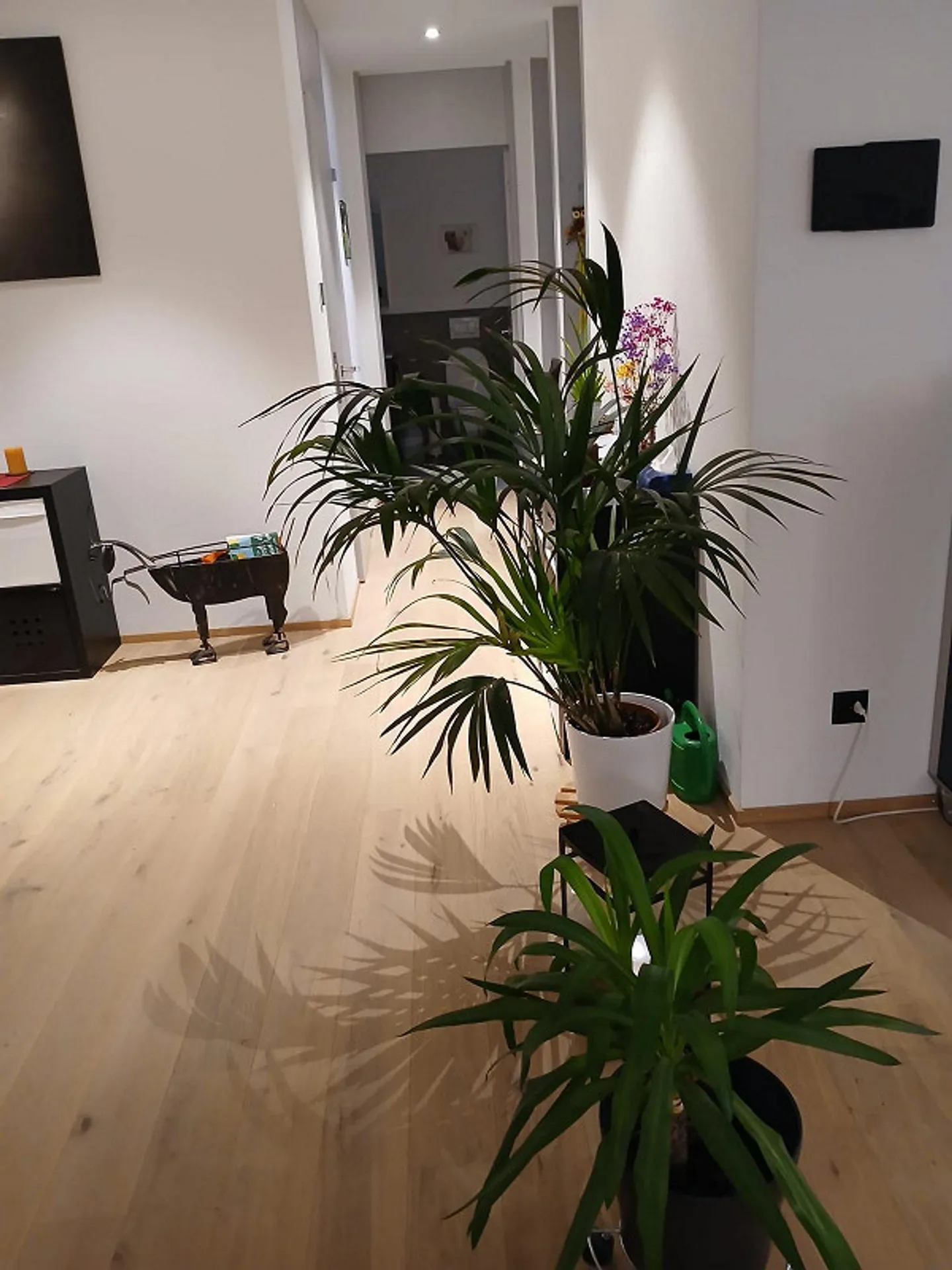 Charmante Wohnung am See - Foto 10 von 18