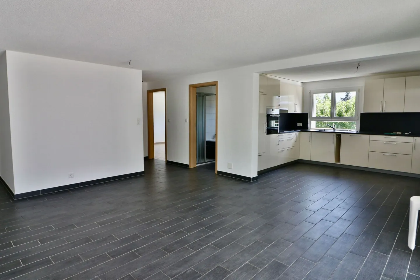 Appartamento 3.5 locali con terrazza XXL - Foto 3 di 13