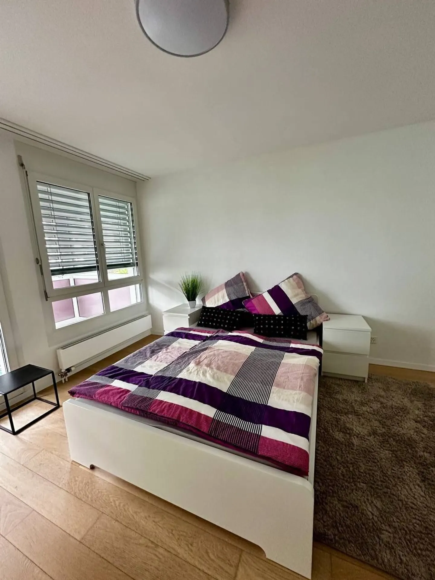 3½ ROOM APARTMENT IN LANGWIESEN (ZH), FURNISHED, TEMPORARY - Photo 1 of 9