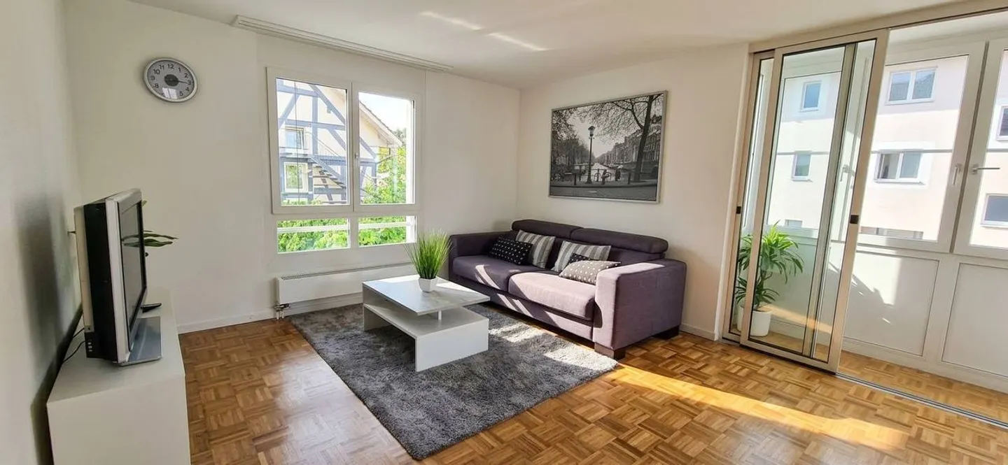 3½ ROOM APARTMENT IN LANGWIESEN (ZH), FURNISHED, TEMPORARY - Photo 7 of 9