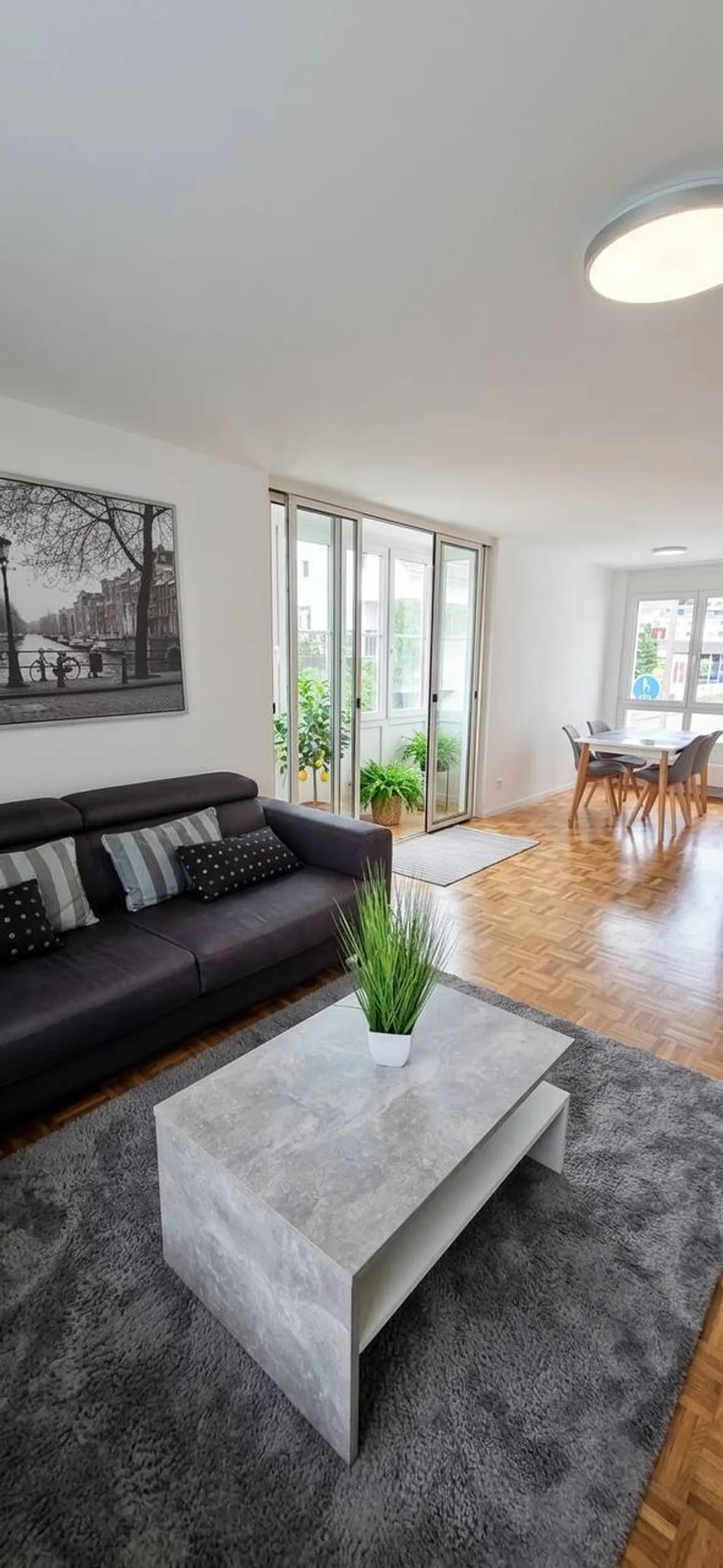 3½ ROOM APARTMENT IN LANGWIESEN (ZH), FURNISHED, TEMPORARY - Photo 8 of 9