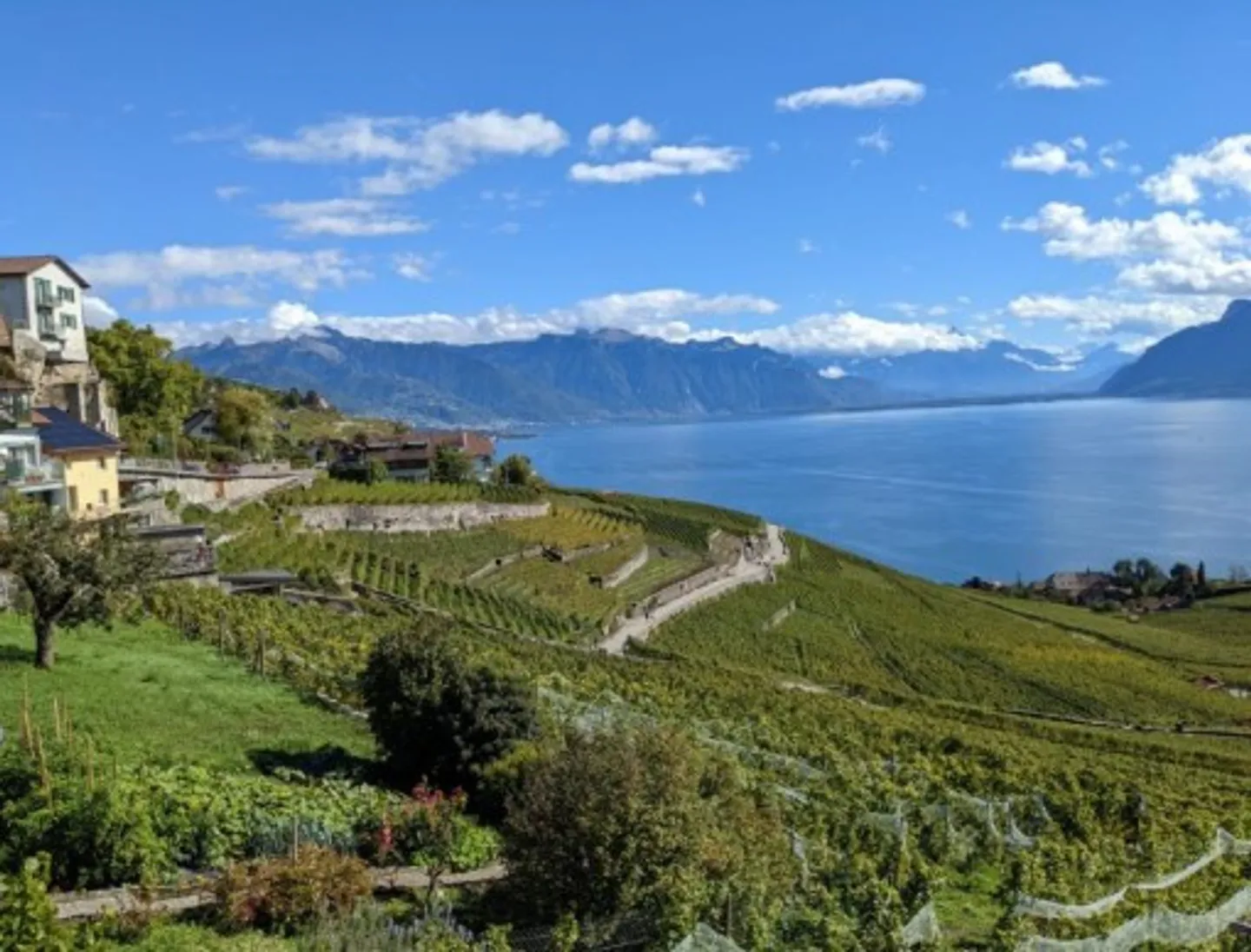 Stunning Villa with Lake View - Photo 1 of 4
