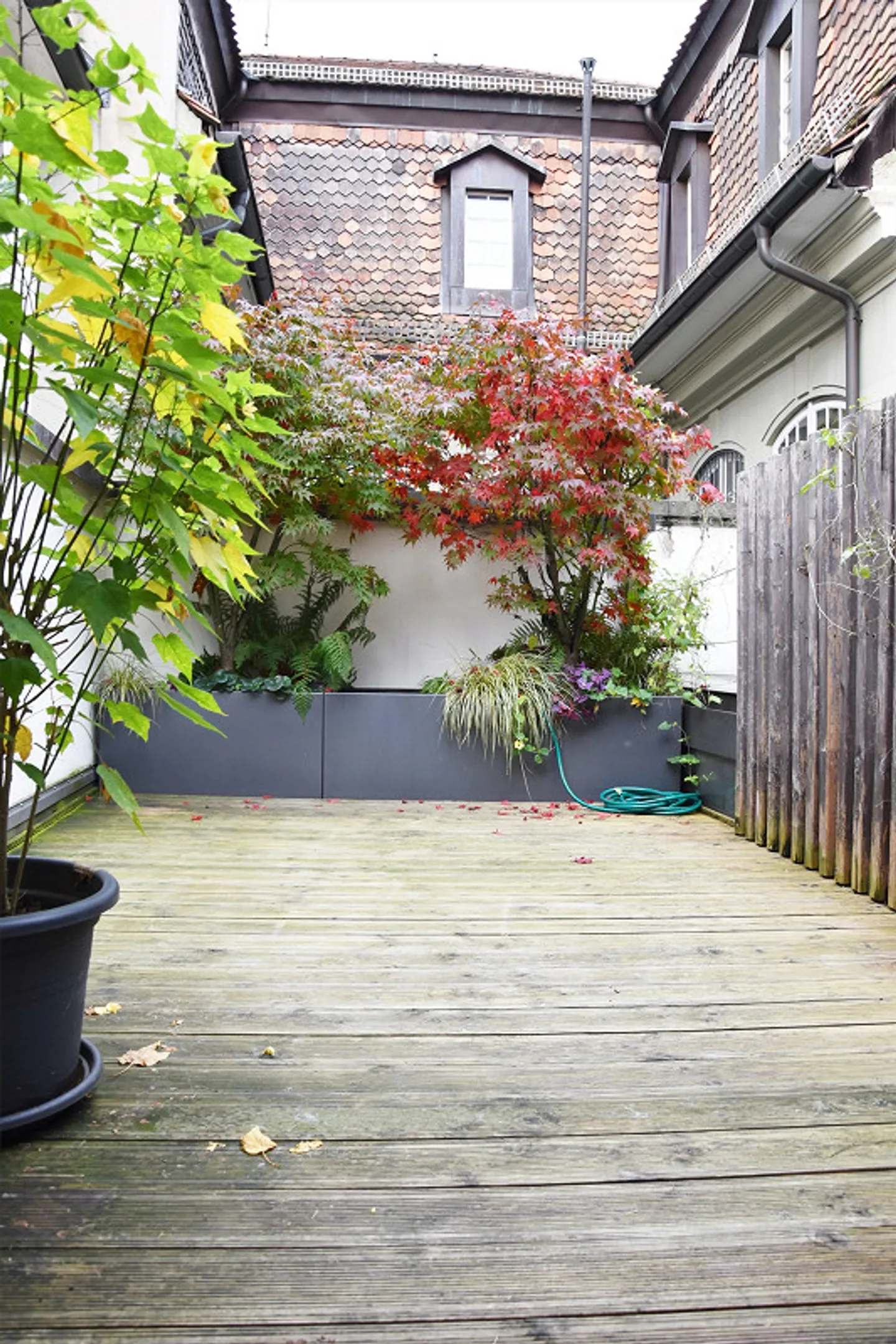 Appartement exclusif de 5 pièces avec terrasse sur le toit dans la vieille ville de Berne - Photo 19 sur 30