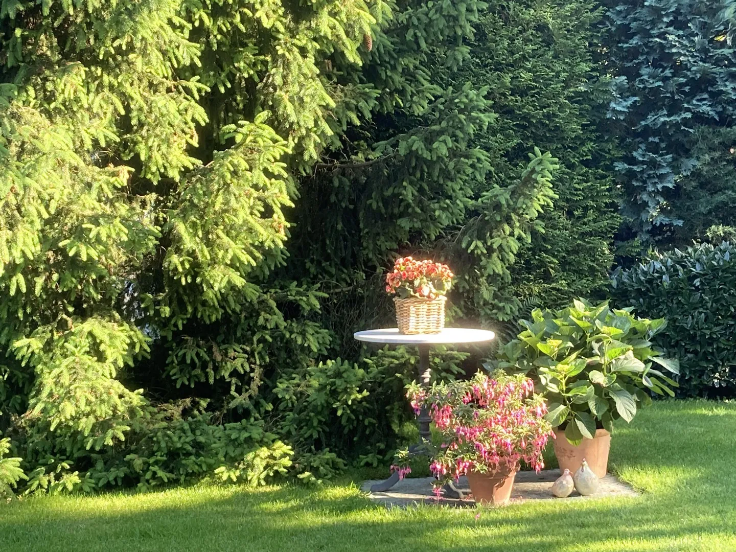 Une oasis verte dans un emplacement recherché - Photo 1 sur 24