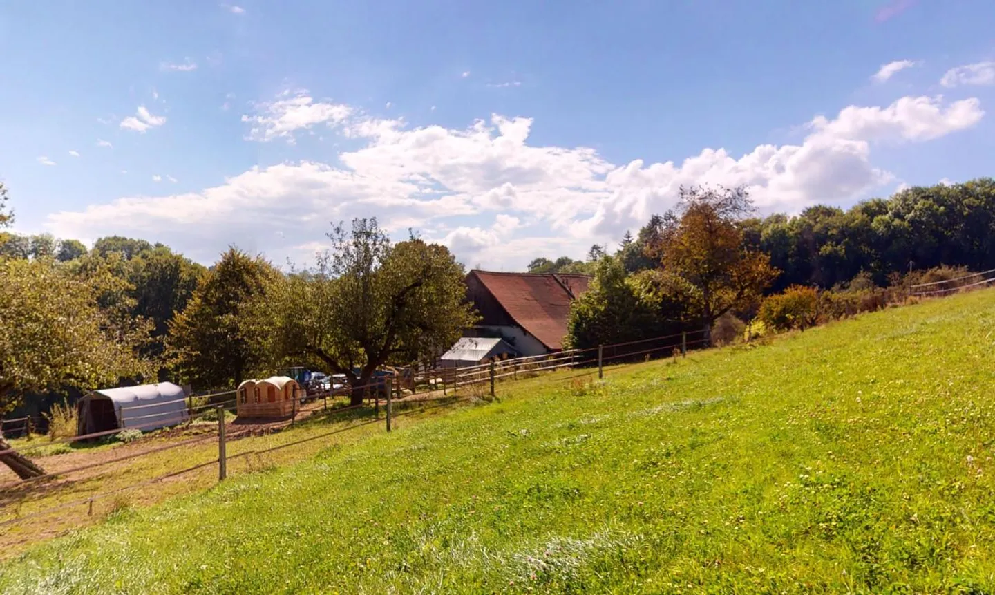 Renovated Farm with Owner's Stable - Photo 1 of 13