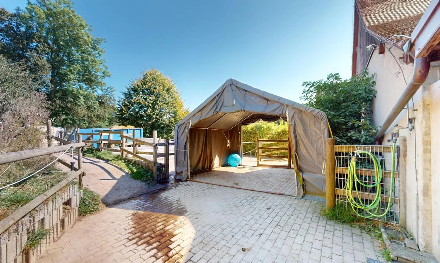 Renovated Farm with Owner's Stable - Photo 8 of 13