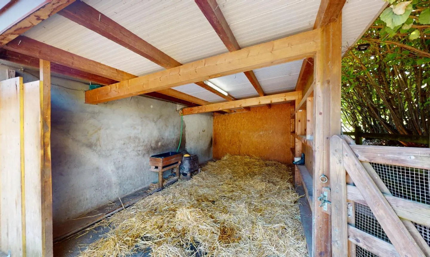 Renovated Farm with Owner's Stable - Photo 9 of 13