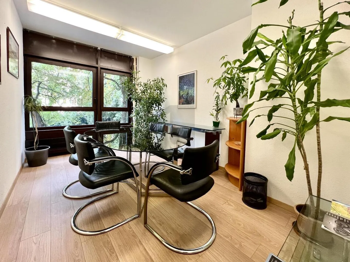 SONNIGES PRIVATES BÜRO IN RUHIGER LAGE MIT BLICK AUF DIE BÄUME - Foto 4 von 6