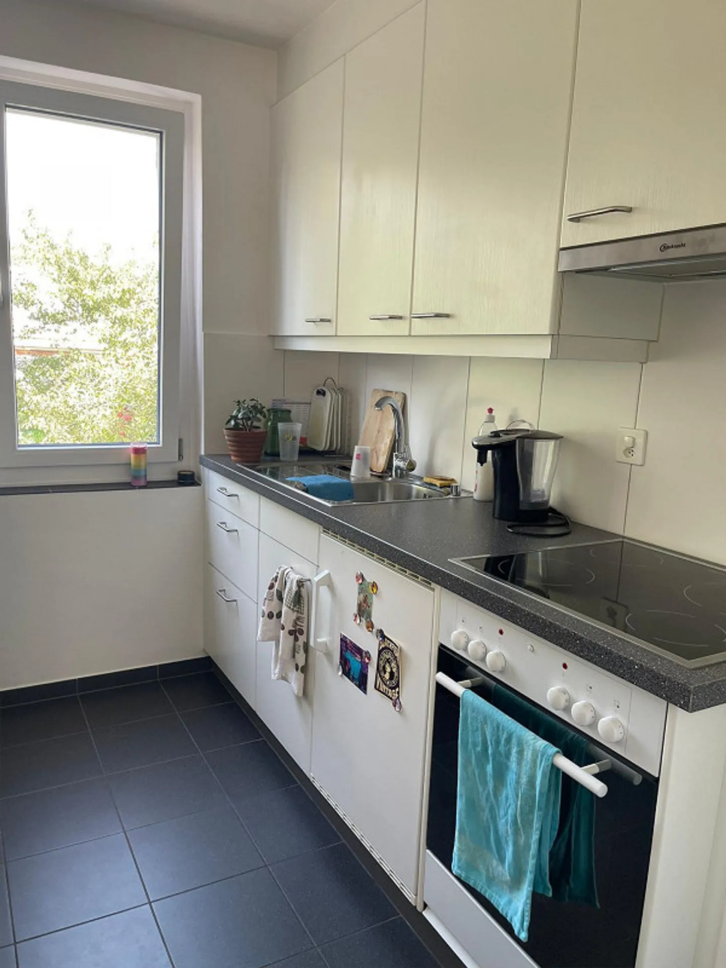Appartamento affascinante con 3 camere in una posizione tranquilla a Brügg BE - Foto 6 di 9