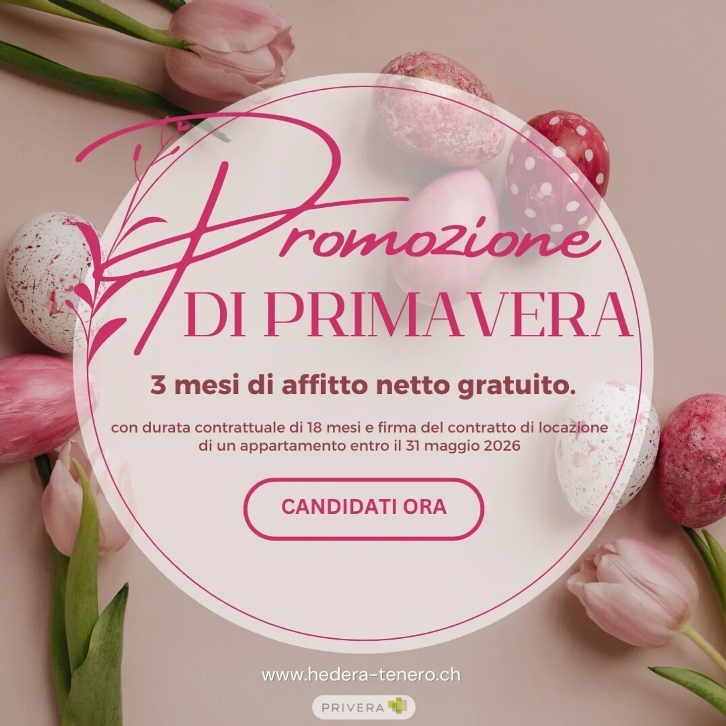 RESIDENZA HEDERA - PRIMA LOCAZIONE DI APPARTAMENTI MODERNI A TENERO-CONTRA - Foto 2 di 13
