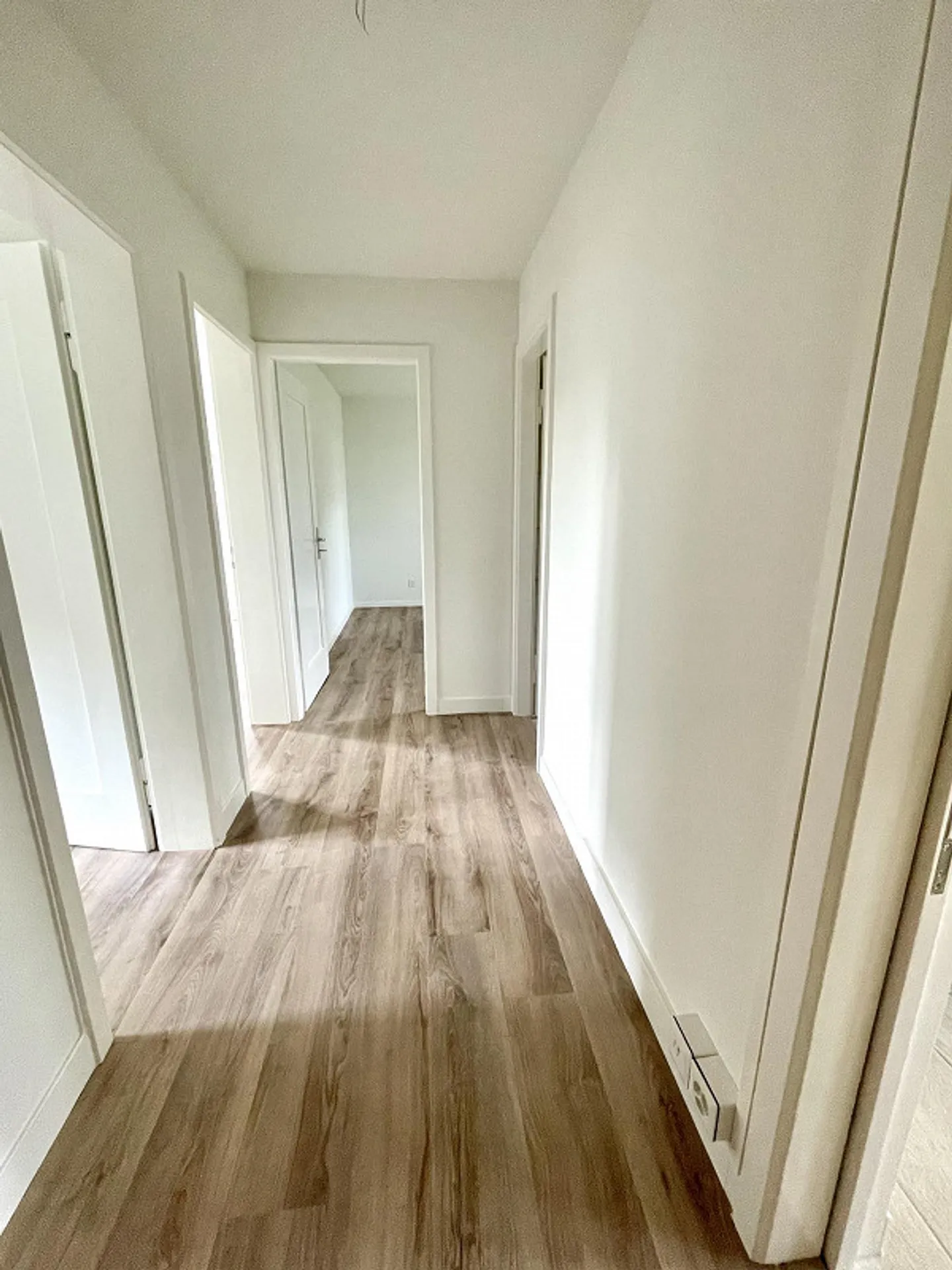 Appartamento 3,5 stanze appena ristrutturato in una posizione tranquilla a Riehen - Foto 4 di 10